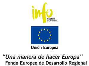 Logo Info UE