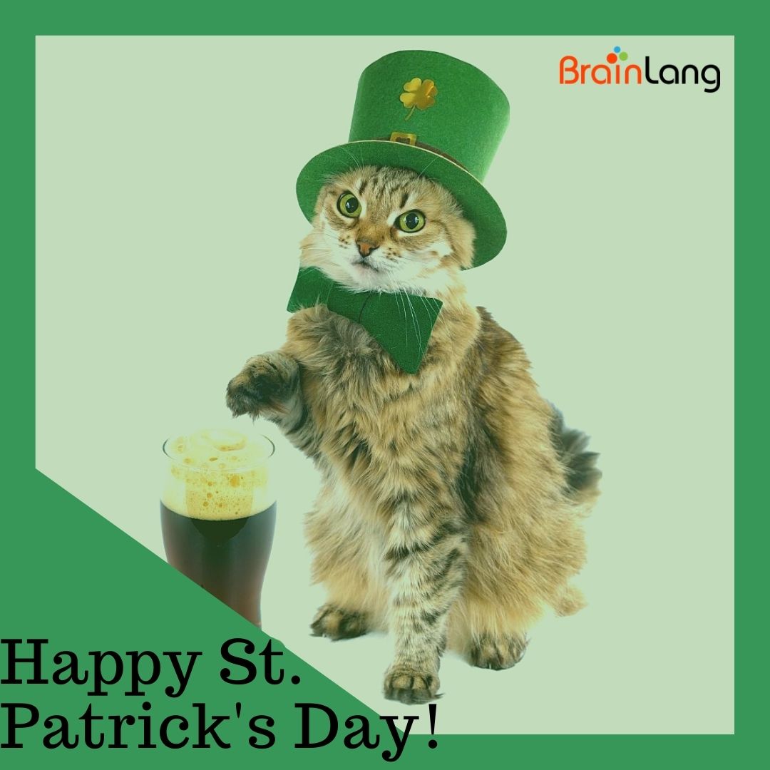 Saint-Patricks-Day-Cat